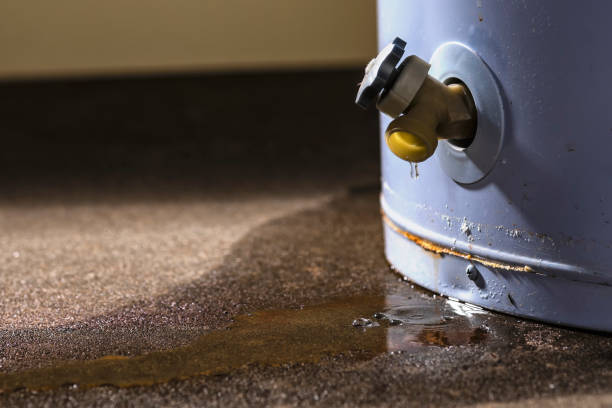 Best Water damage restoration near me  in Beaver, OK