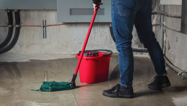 Best Local water damage restoration  in Beaver, OK