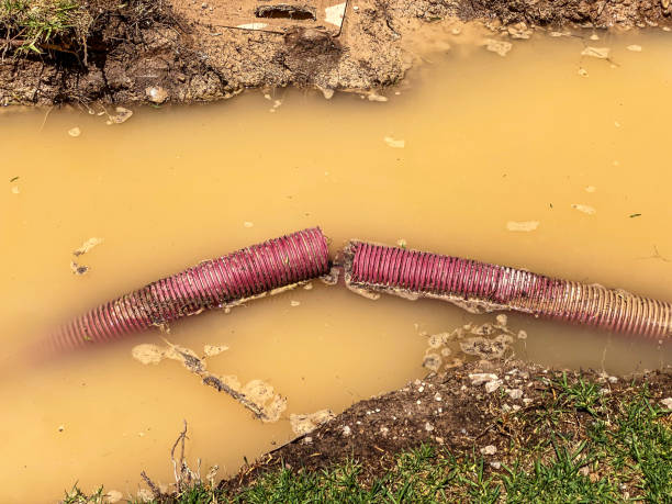 Best Residential water damage restoration  in Beaver, OK